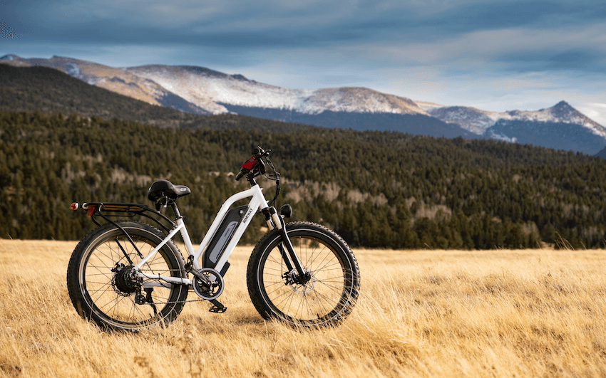 草原の自転車