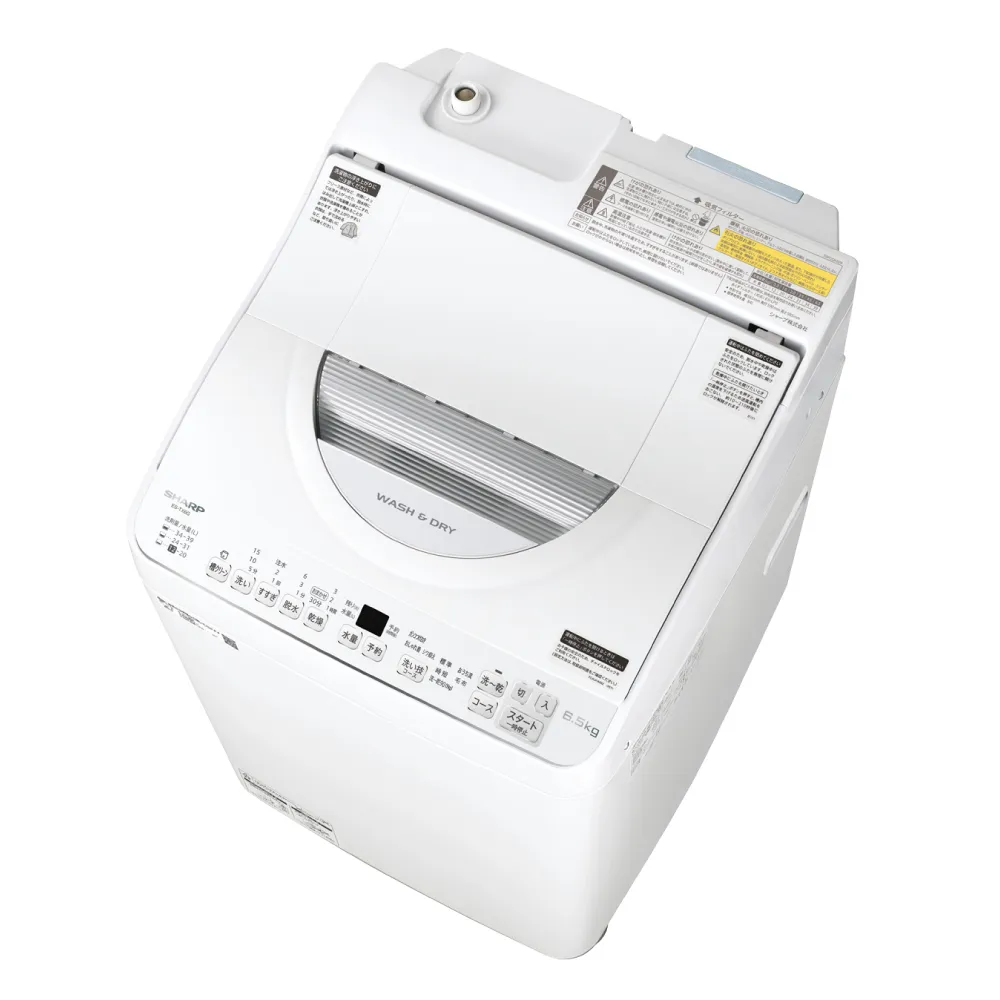6.5kg タテ型洗濯乾燥機 EX-TX6G